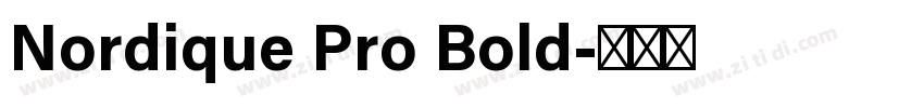 Nordique Pro Bold字体转换